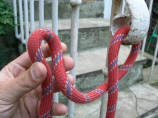 Knot-a-Hitch™ | Système d'attache pour chien au camping | UK Knot-a-Hitch™ | Système d'attache pour chien au camping | UK