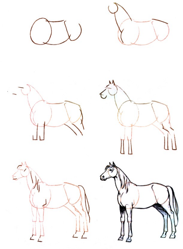 Dessiner Un Cheval Comment Faire