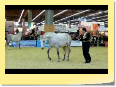 Salon du cheval 2009 www.soncheval.com.mpg